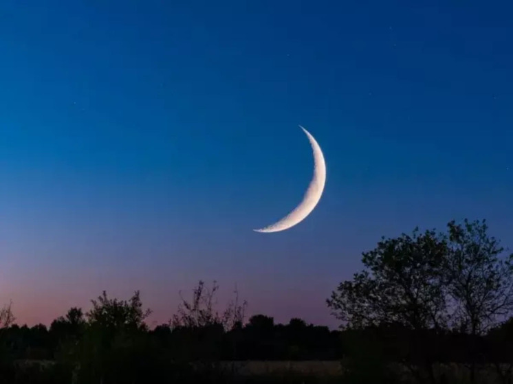 О влиянии рокового новолуния 20 ноября рассказала астролог из Ростовской области