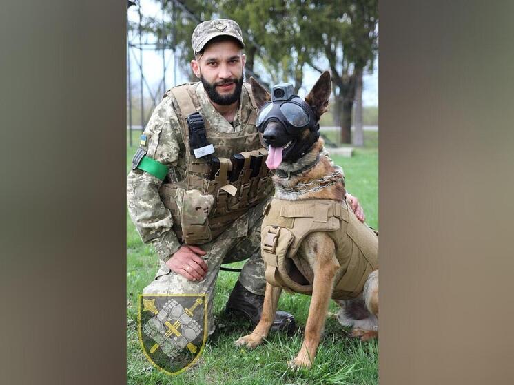 На фоне проблем с мобилизацией в ВСУ рассматривают идею с призывом собак и хозяев