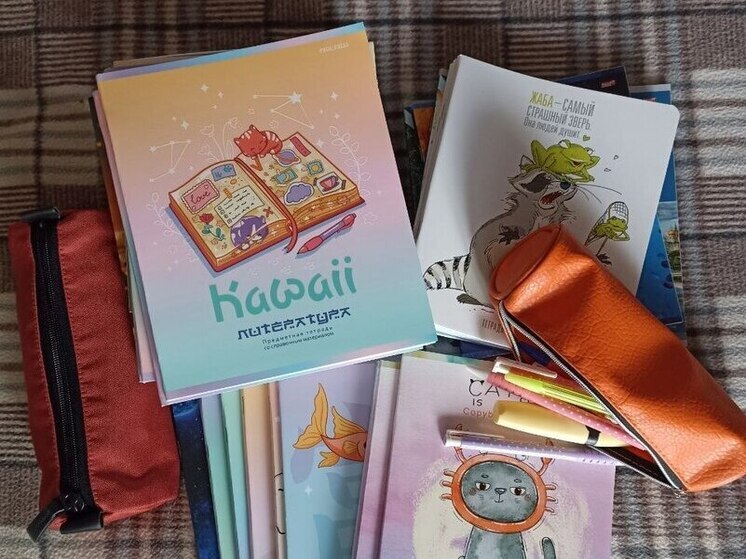 В Ленобласти многодетным семьям увеличили выплату до 7500 рублей на канцтовары