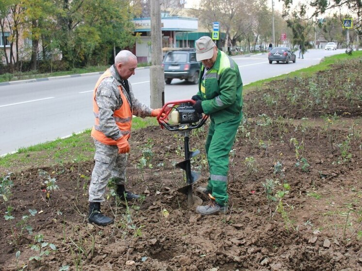 Около 2 тысяч кустарников роз высадят в Феодосии