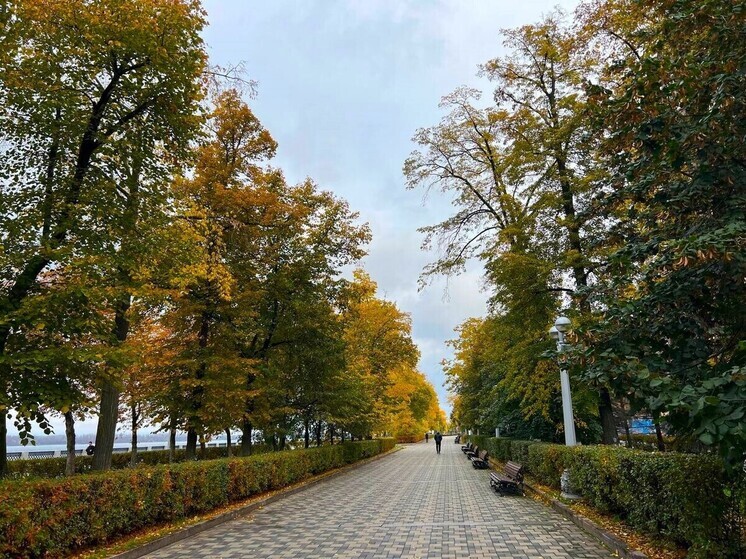 20 ноября 2025 года отмечается несколько важных международных дат, посвященных защите детства и здоровью. В этот день мир празднует Всемирный день ребенка, День педиатра и День отказа от курения.