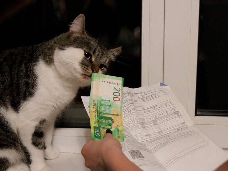 Липецкая прокуратура выявила нарушения в начислении платы за электроэнергию