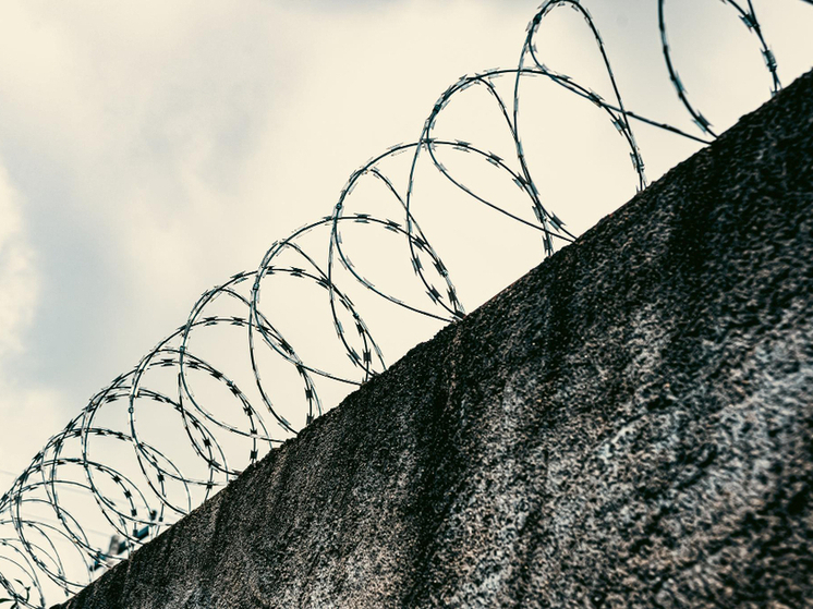 Крупная партия наркотиков не дошла до тамбовских улиц: иностранец получил 7 лет строгого режима