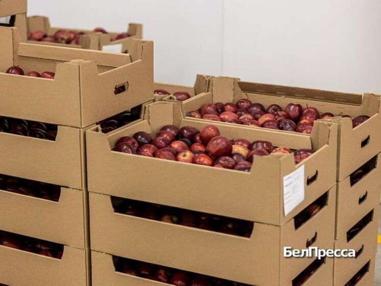 Урожай собрали, несмотря на град и заморозки