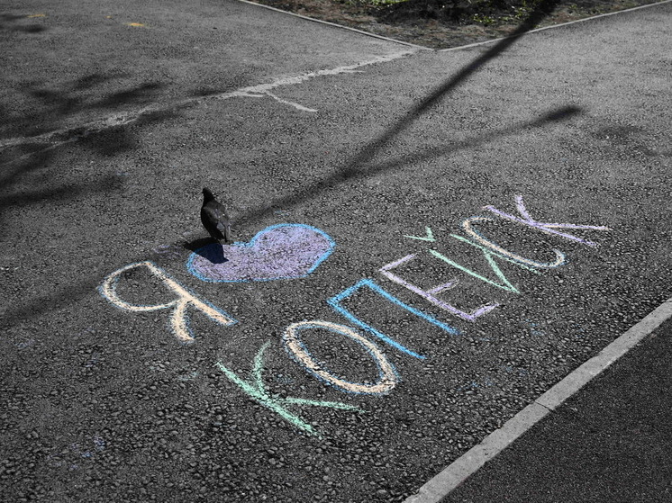 В Копейске предлагают назвать улицу в честь Владимира Жириновского