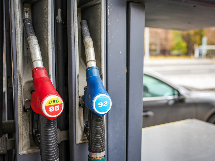 В Ростовской области предложили ввести паспортный контроль на АЗС