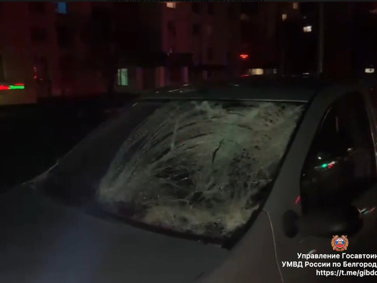 В Белгороде иномарка сбила пенсионера, переходившего дорогу на красный