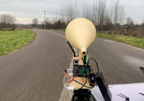 Какой вклад в дело защиты своей родной земли может внести отдельно взятый школьник? Оказалось, что немалый