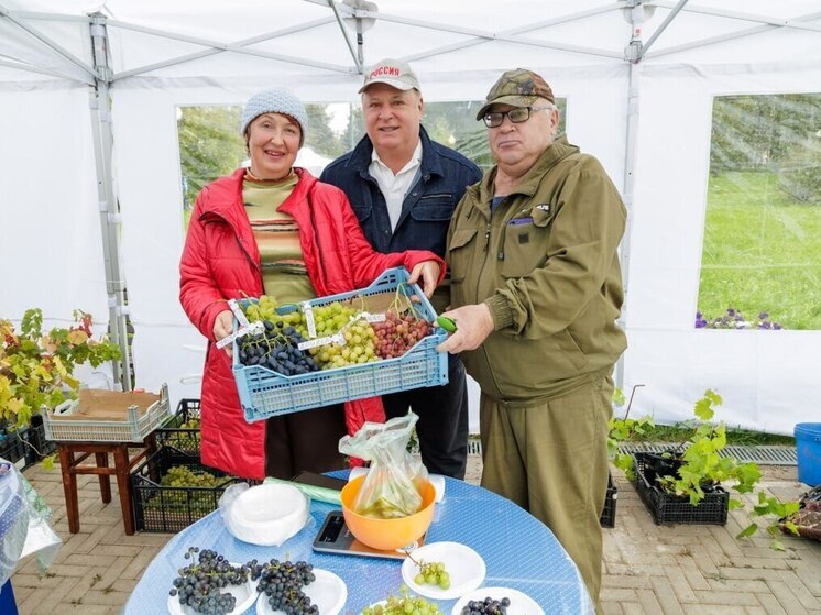 Олег Валенчук: Вятский виноград – это настоящее чудо!