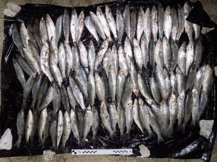 В Херсонской области задержали подозреваемого в браконьерстве