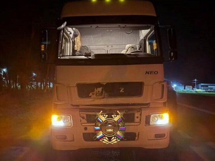 Пешеход погиб под колесами грузовика на трассе в Краснодаре