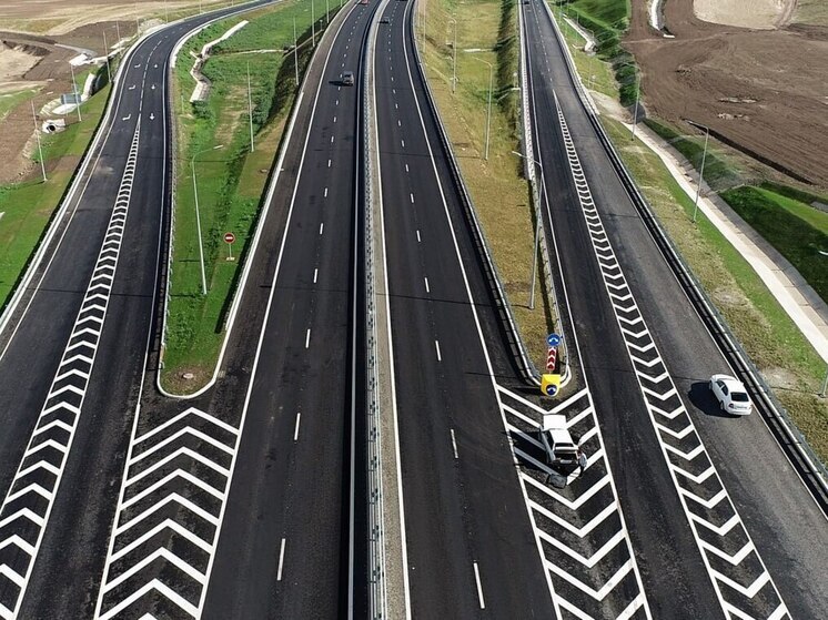 В Крыму высадят 110 тысяч деревьев вдоль дорог до конца года