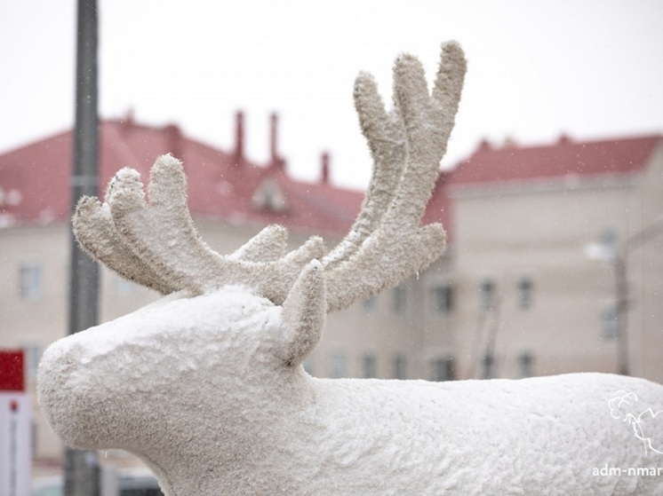 Конкурс на лучший талисман Нарьян-Мара объявили в НАО