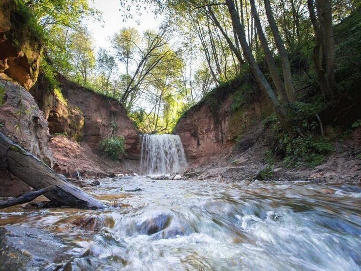 У памятника природы «Староладожский» появится охранная зона