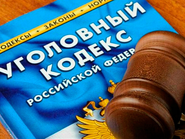 Опасные покатушки на тюбинге: липчанин покалечил знакомую и получил 3 года колонии