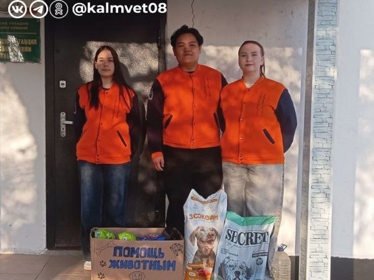 Бездомные собаки Калмыкии вновь принимали подарки