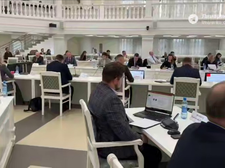 В Южно-Сахалинске состоялись публичные слушания по проекту главного финансового документа региона на предстоящий трехлетний период