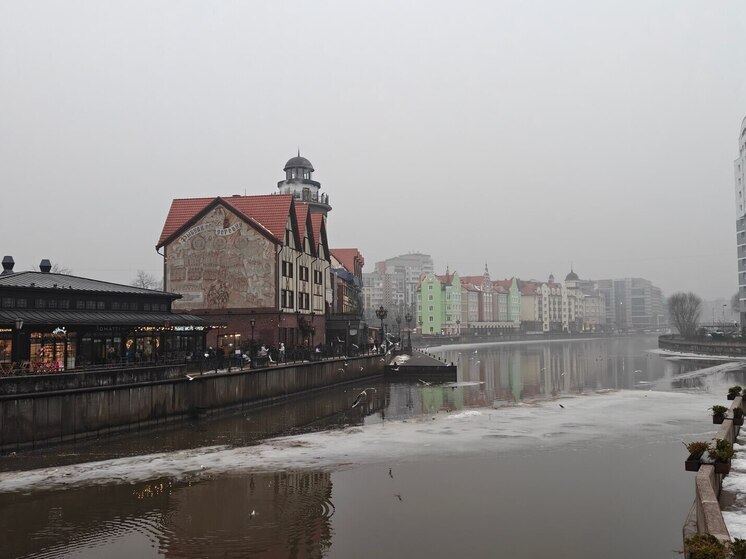 Ребенок-инвалид из Калининграда прошелся по подиуму в Москве