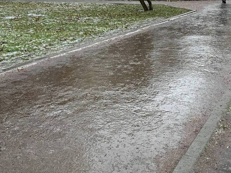 Новгородцам посоветовали ходить в гололед с тростью или палками