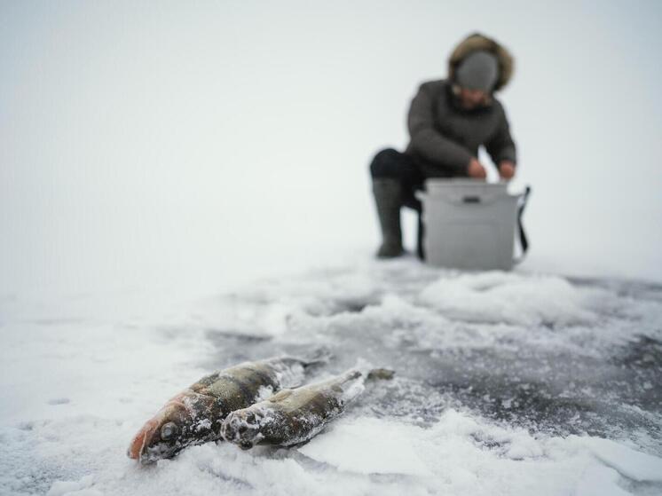 На сахалинском рыболовном судне расследуют гибель члена экипажа