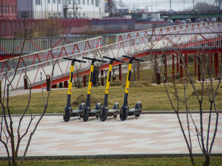 Житель Тулы получил судимость и штраф за кражу электросамоката Xiaomi