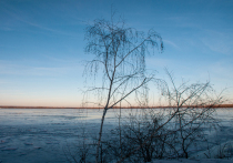 Двадцатого ноября на Руси отмечали важный рубеж — Федотов день, или Федот Ледостав. Свое название день получил в честь святого Феодота Анкирского, но в народном сознании он прочно связан с приходом настоящей зимы. «Федот лёд ведёт» — подмечали наши предки, видя, как реки и озера сковывает первым, уже достаточно крепким льдом. Это открывало сезон подледной рыбалки и прокладывало первые, самые опасные и важные, зимние дороги.