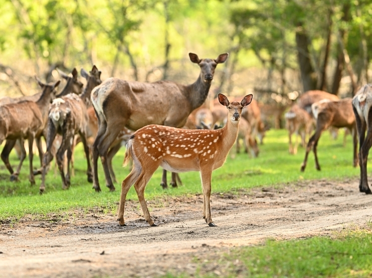 Мордовия завоевала четыре награды на национальной туристской премии «Маршрут года»
