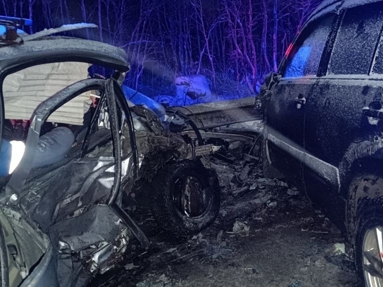 Лобовое столкновение на трассе «Кола» унесло жизни двух человек