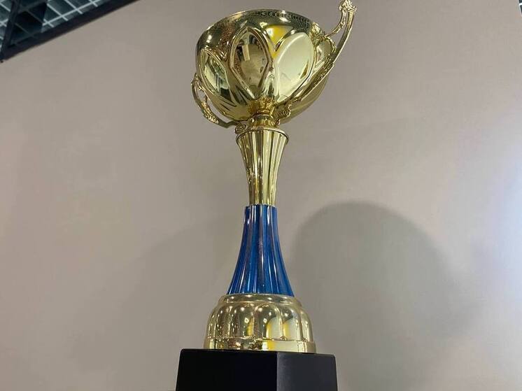 Светлогорский школьник завоевал золото на всероссийском турнире по муай-тай