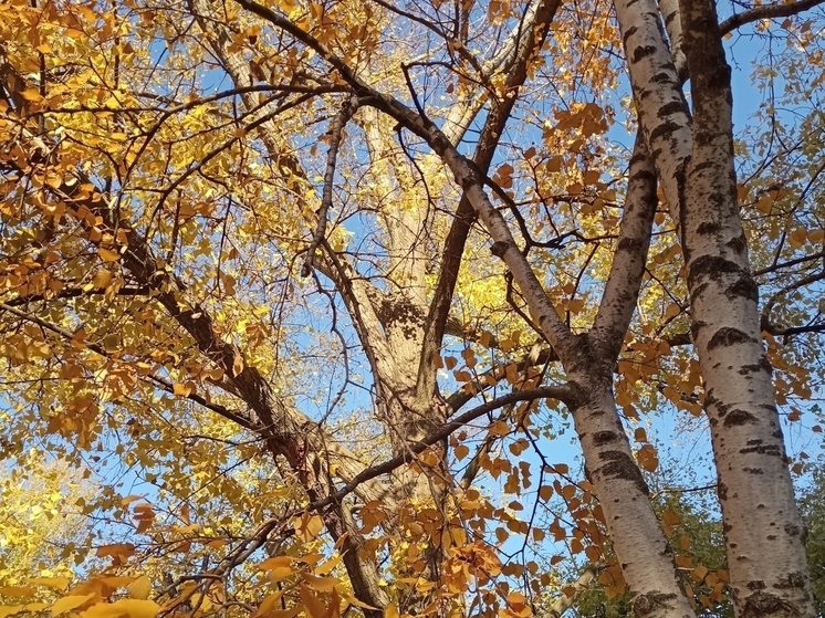 Сила магнитной бури 20 ноября составит 3 балла: благоприятный период для рутинных дел