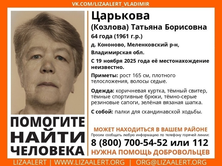 Бесследно пропала Татьяна Царькова из Владимирской области