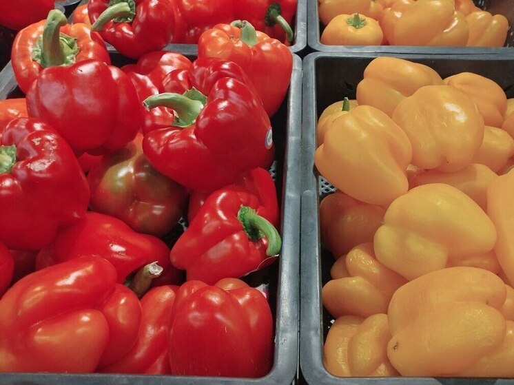 Турецкие перец и томаты зараженные вредителями не пустили в Калининградскую область