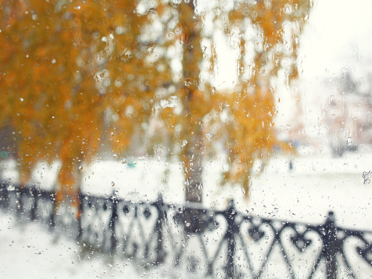 Погода в Архангельской области: снег и ветер