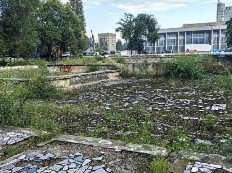В Воронеже планируют отремонтировать заброшенный фонтан в «Дельфине»