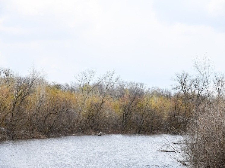 Народные приметы: что нельзя делать 20 ноября в Федотов день