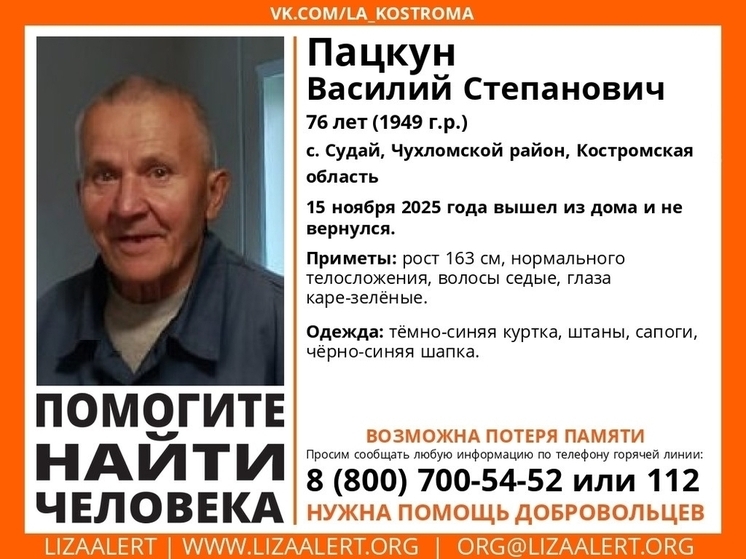 Созданы автономные группы для поисков пропавшего костромского пенсионера