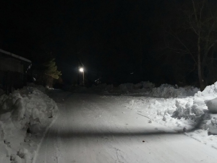 Жители села в Искитимском районе дважды решали проблему с уличным освещением через губернатора