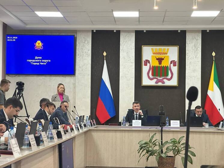 Два новых ТОСа появилось в Чите