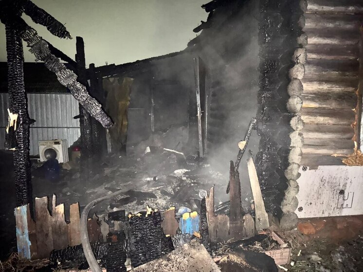 Семья с тремя детьми чудом спаслась из горящего дома после поджога в новосибирском селе