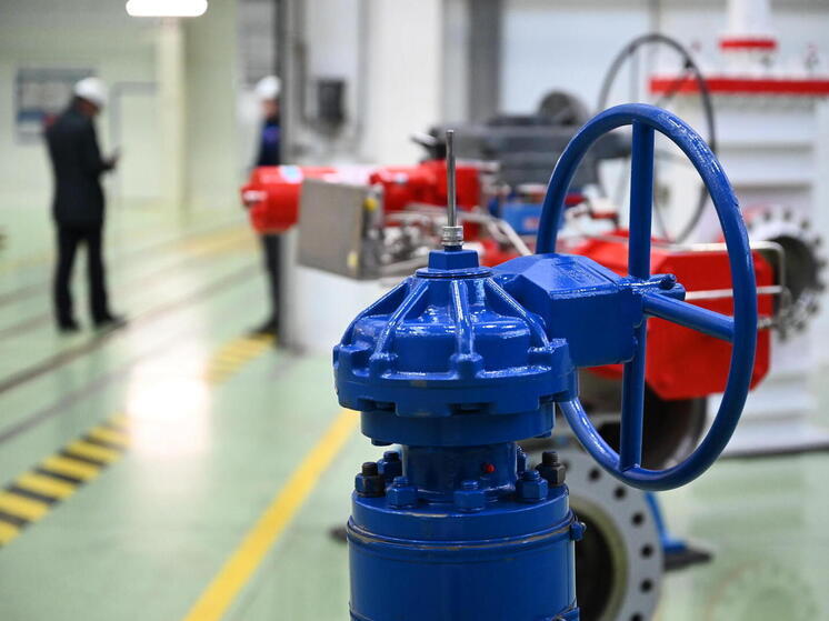 В Челябинске ликвидирует совместное российско-итальянское предприятие