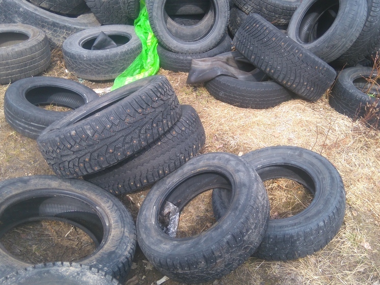 Администрацию Питкярантского округа обязали ликвидировать свалку покрышек и строительных отходов