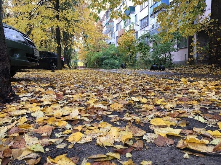 В четверг в Воронежской области воздух прогреется всего до 5 градусов