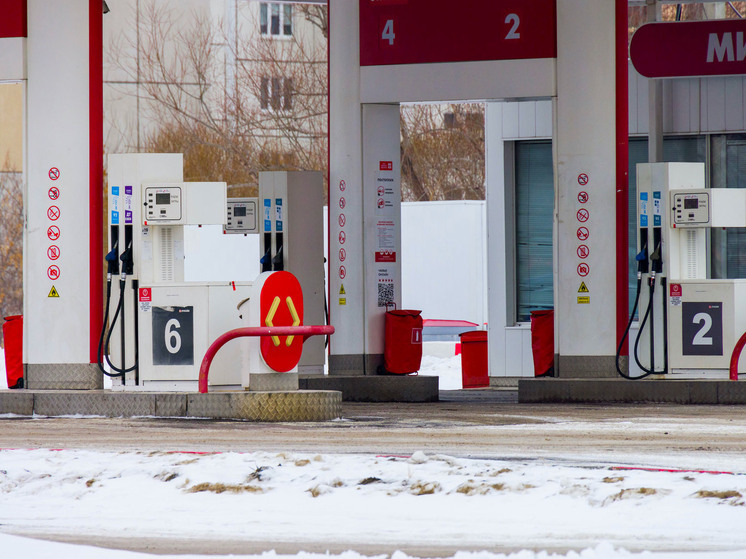 В Челябинской области дешевеют две самые популярные марки бензина