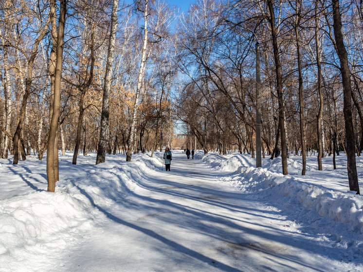 Новосибирск ожидает аномальное потепление до +3 градусов