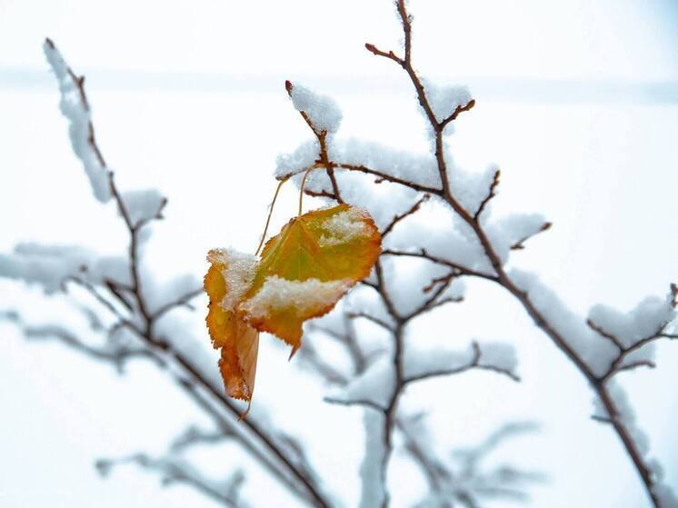 В Карелии 20 ноября ожидается морозная и снежная погода