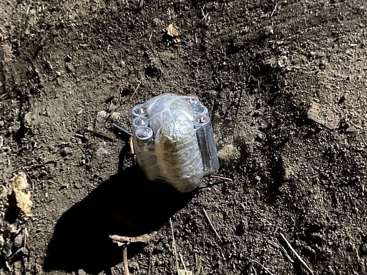 В Челябинской области пресекли попытку доставки наркотиков в колонию