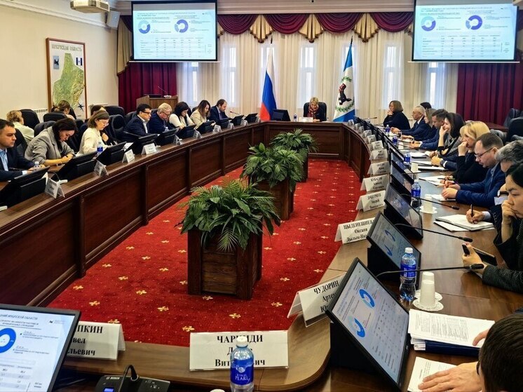 Региональные учреждения Иркутской области пройдут инвентаризацию по новому антикризисному плану