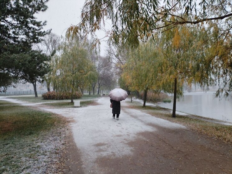 Петербуржцев ждут облака и небольшие осадки 20 ноября