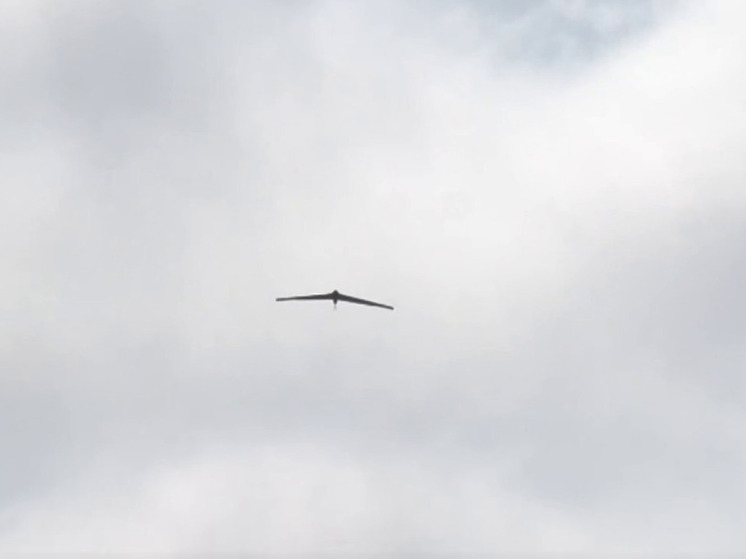 Российские силы ПВО уничтожили 65 вражеских дрона над территорией России