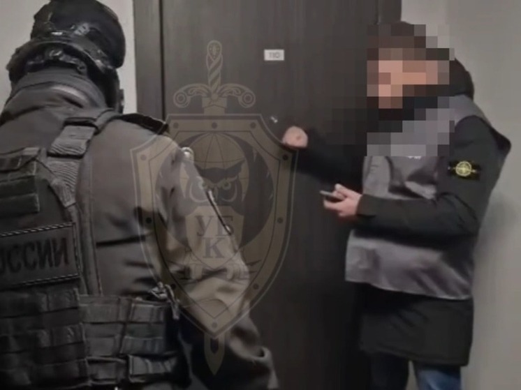 Полиция в Петербурге задержала горожан за создание порнографии с малолетними